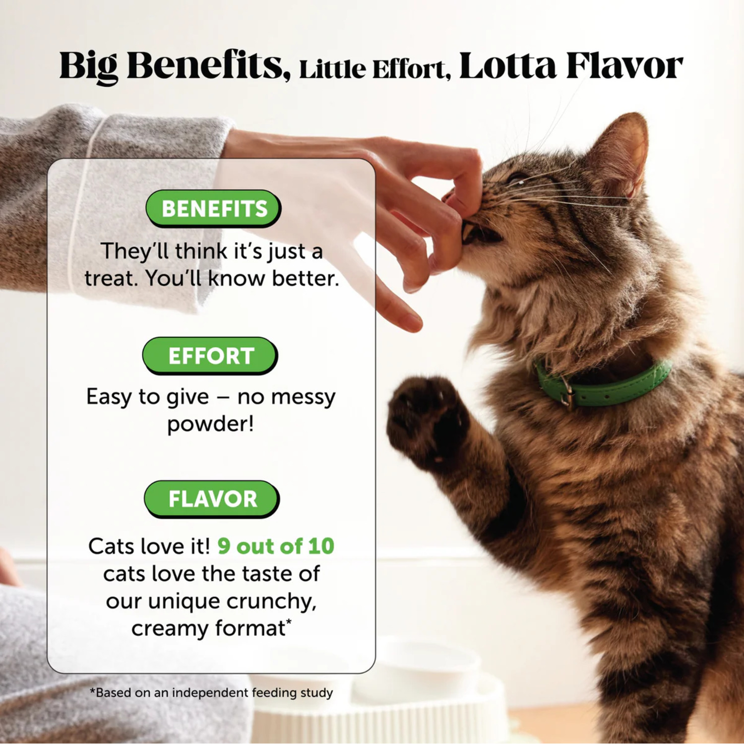 Pet Honesty Dual Texture Hairball Support Chicken Flavored Chews Digestive Support Cat Supplement, 3.7-Oz Pouch