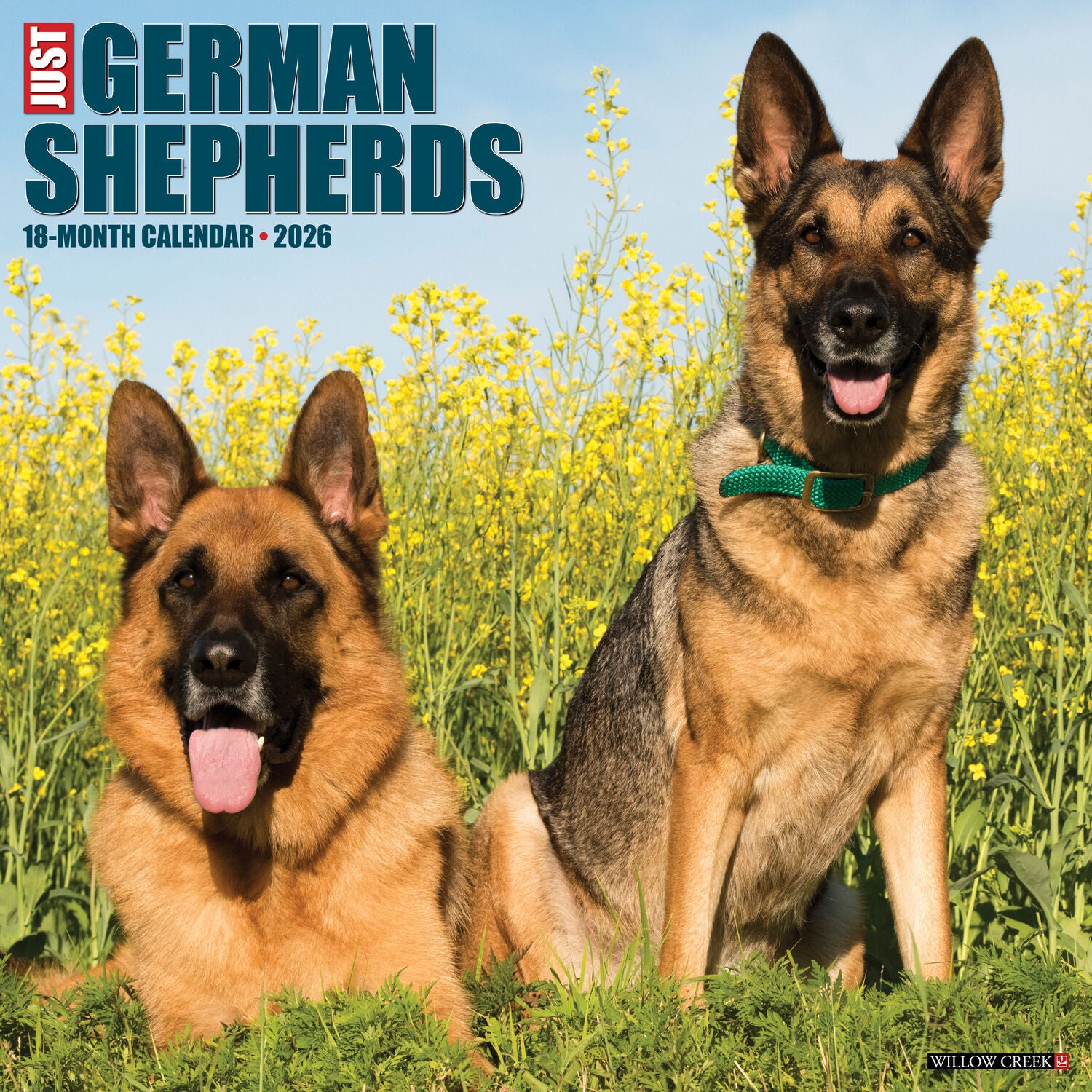 Willow Creek Press 2026 German Shepherds Wall Calendar
