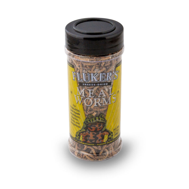 Freeze Dried Mealworms Reptile Food image number 1