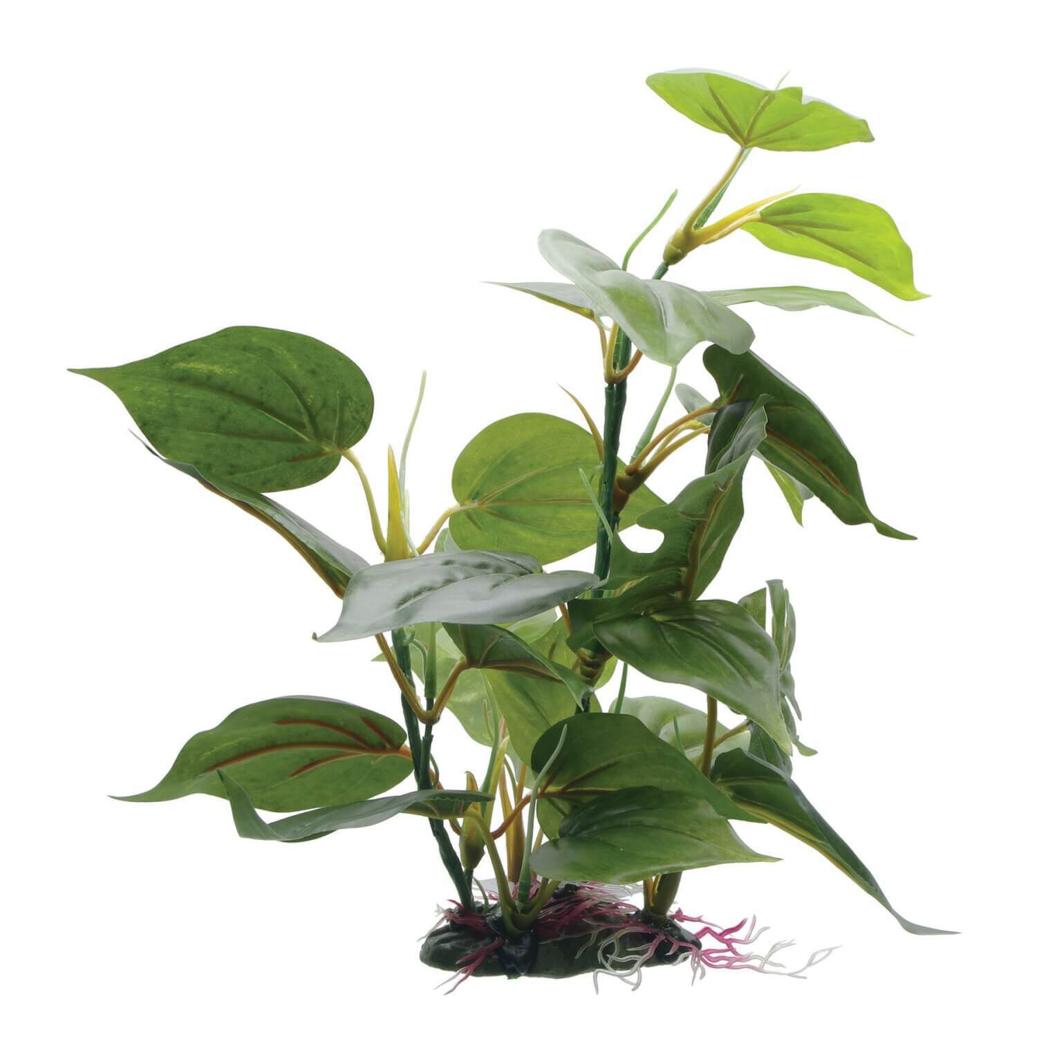 Fluval Anubias Aquarium Plant