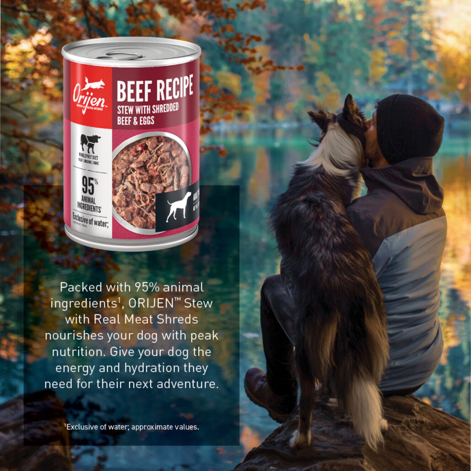 Orijen Real Meat Shreds Wet Dog Food Beef Stew Recipe 12.8-Oz