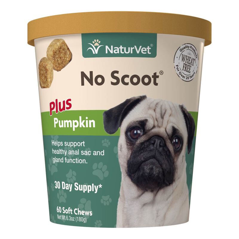 No Scoot For Dogs - Plus Pumpkin image number 1