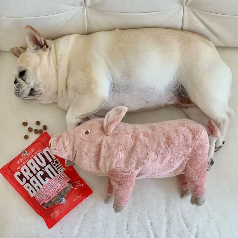 Crav'N Bac'N Bites Bacon & Pork Recipe Dog Treats image number 3