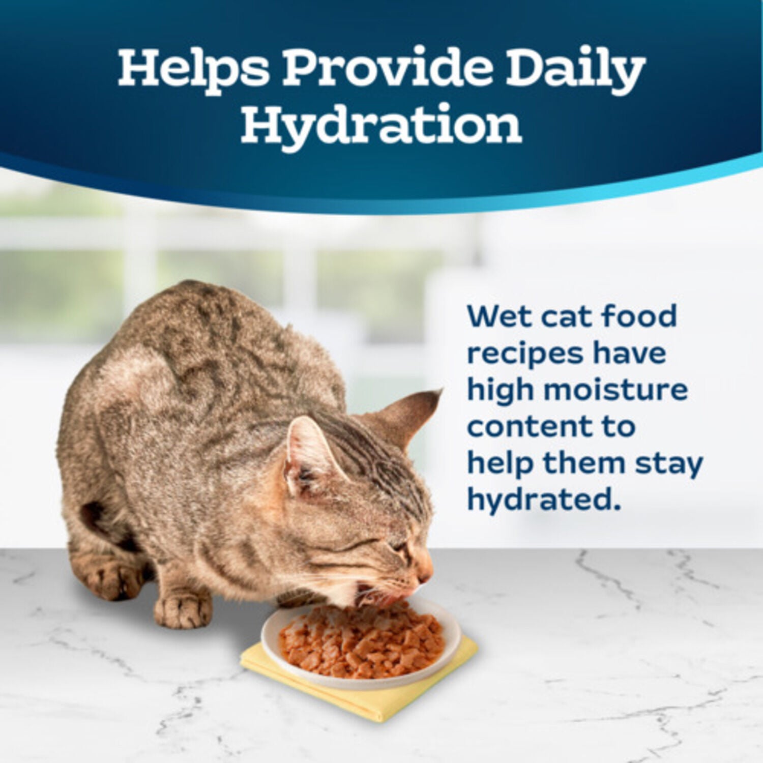 Blue Buffalo Tastefuls Fish & Shrimp Entr&eacute;e In Gravy Flaked Wet Cat Food, 3-Oz