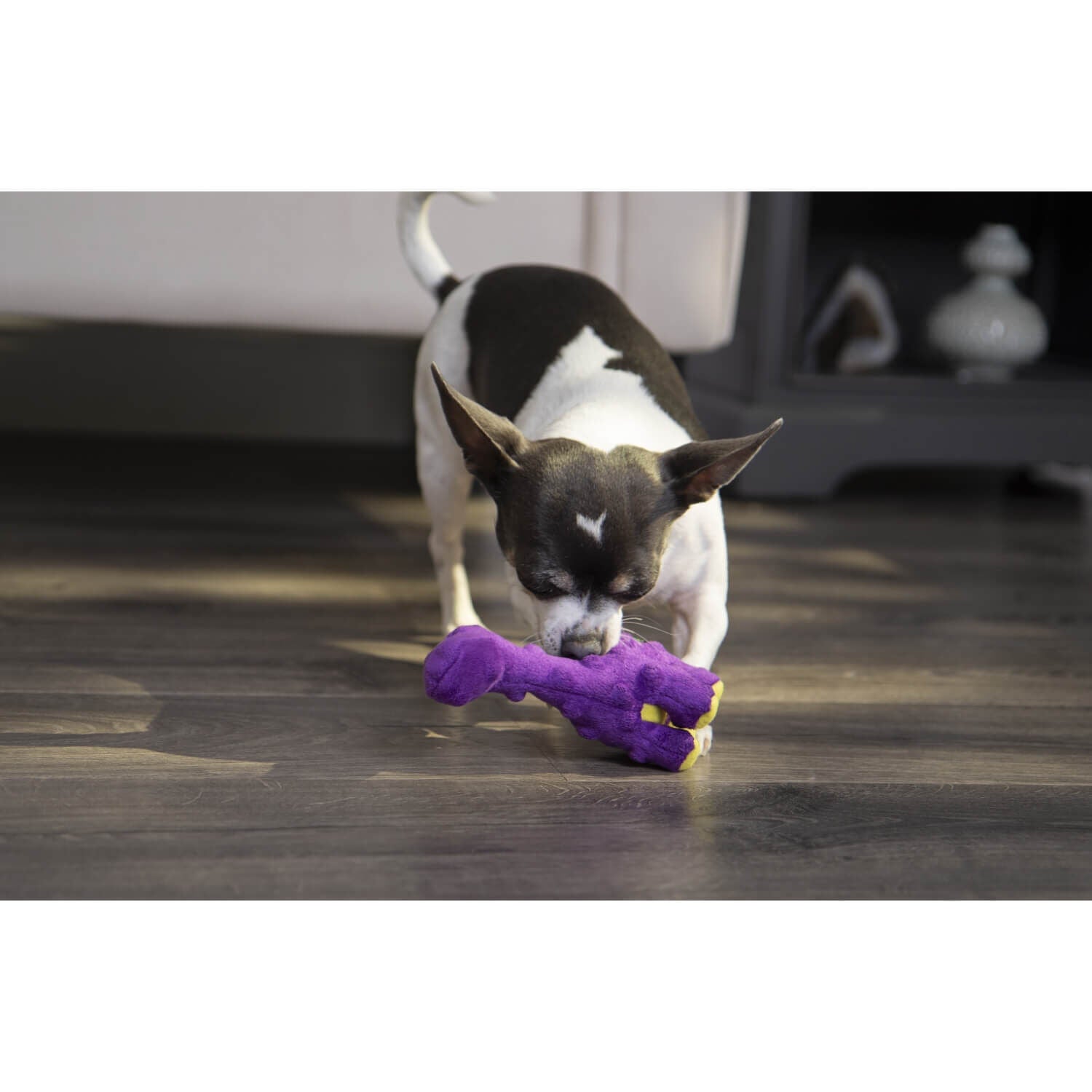Godog Dinos Bruto Just For Me Squeaky Plush Dog Toy - Purple Mini