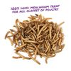 Manna Pro Mealworm Munchies Treat For Adult Poultry