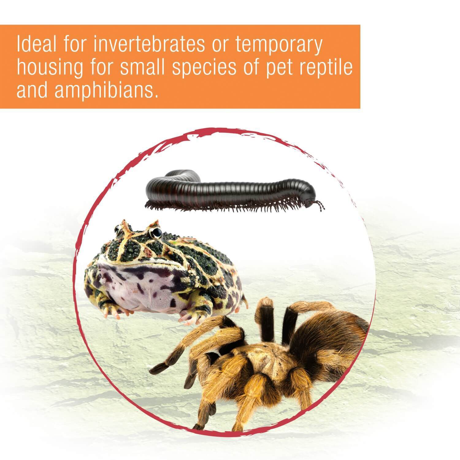 Zilla Micro Habitat Terrarium With Locking Latch, Terrestrial, Large 1L