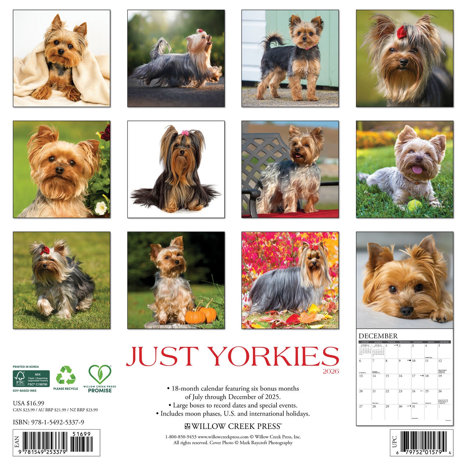 Willow Creek Press 2026 Yorkies Wall Wall Calendar