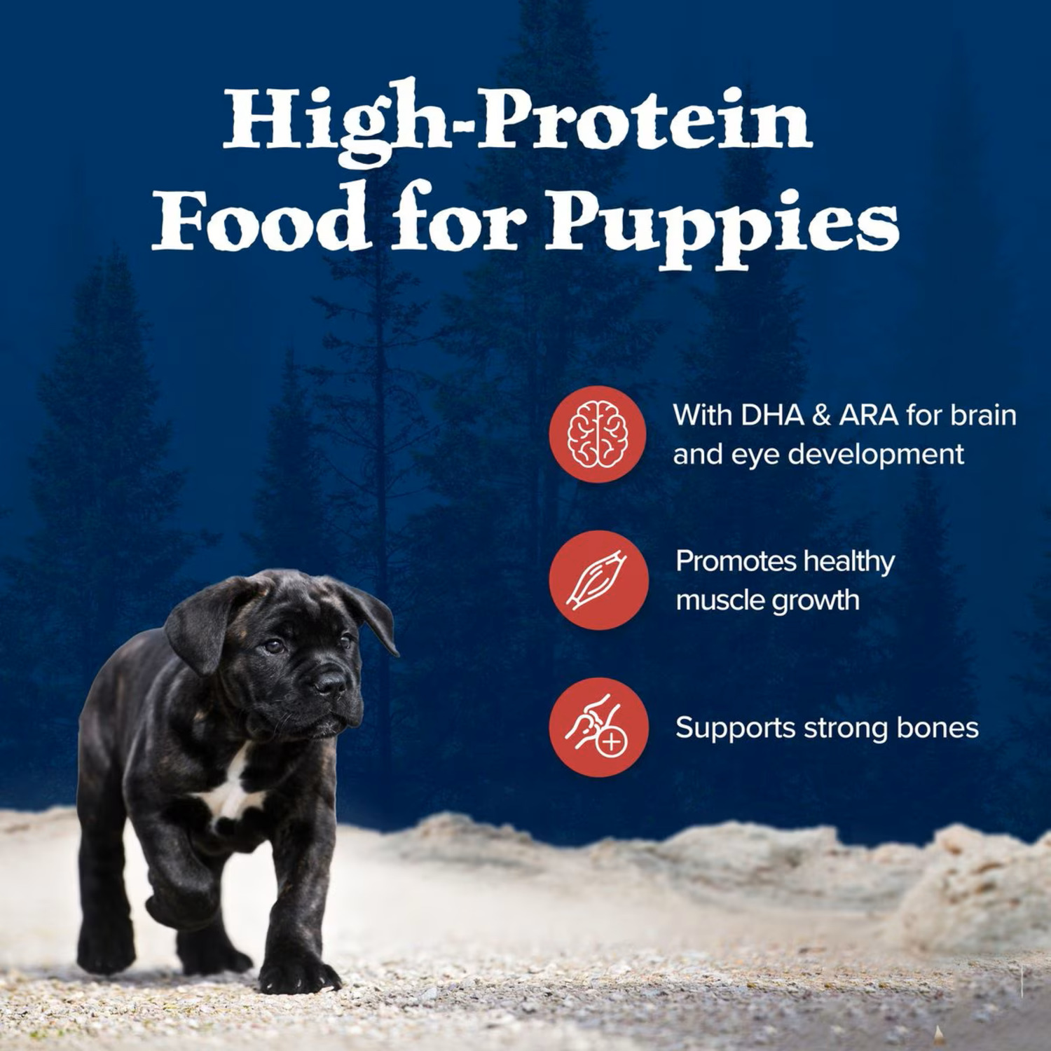 Blue Buffalo Wilderness Rocky Mountain Recipe High Protein Natural Puppy Dry Dog Food, 4.5Lb