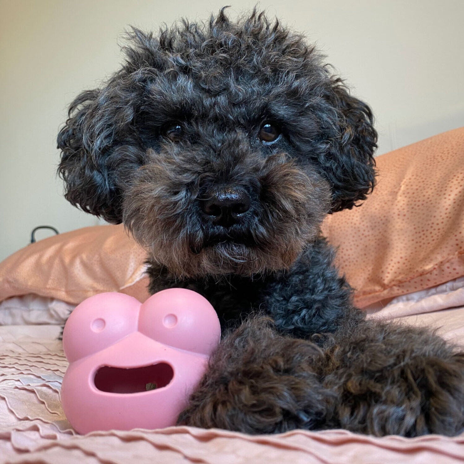 Frogg Robert Interactive Treat Dispensing Dog Toy, Pink