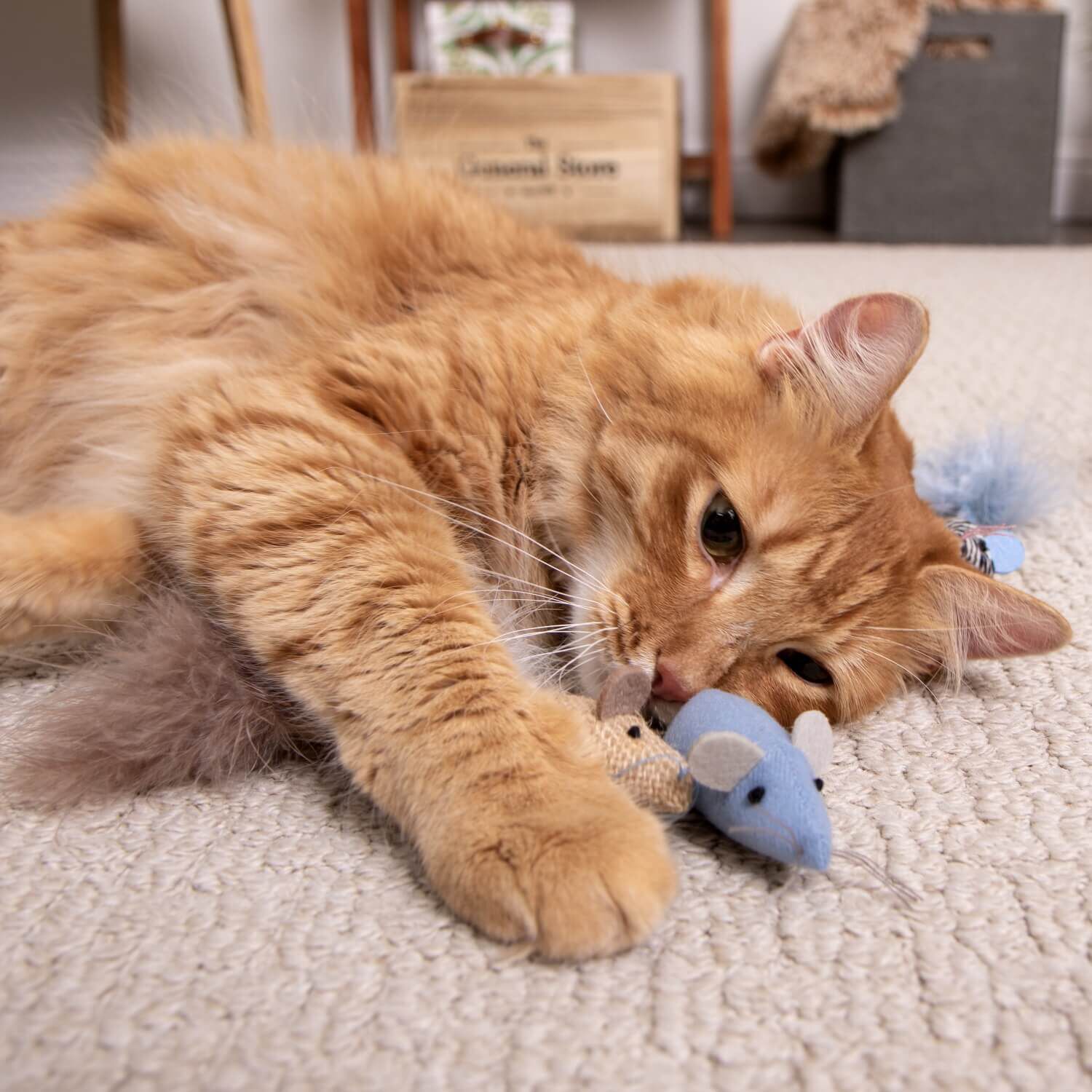 Instincts By Smartykat&reg; Catnip Caravan, Happynip Silvervine & Catnip Toss And Bat Plush Mice Cat Toys, Set Of 3