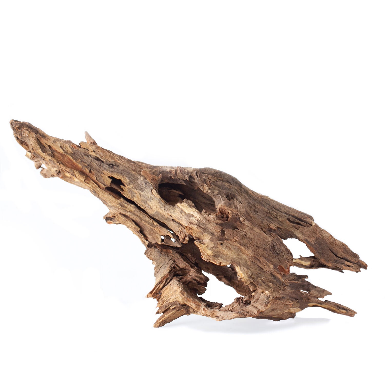 Gal&aacute;pagos Hollow Tree Root, Driftwood Aquarium And Terrarium Decor, Natural, 12-16In