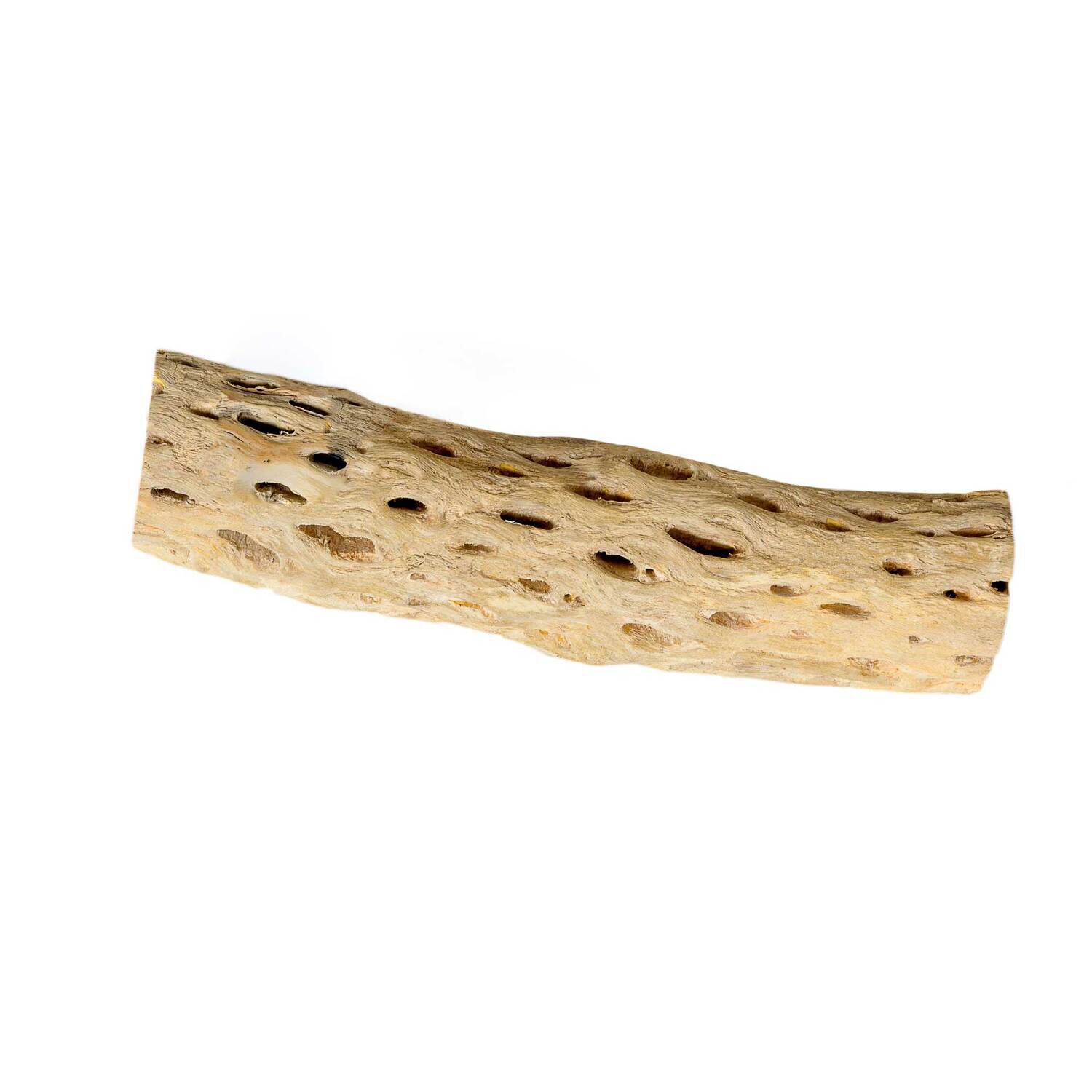 Gal&aacute;pagos Cholla Wood Branches Natural Reptile Habitat Decor Approximately 12In