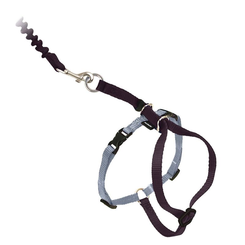 Pet Safe® Come With Me Kitty™ Cat Harness And Bungee Leash, Black