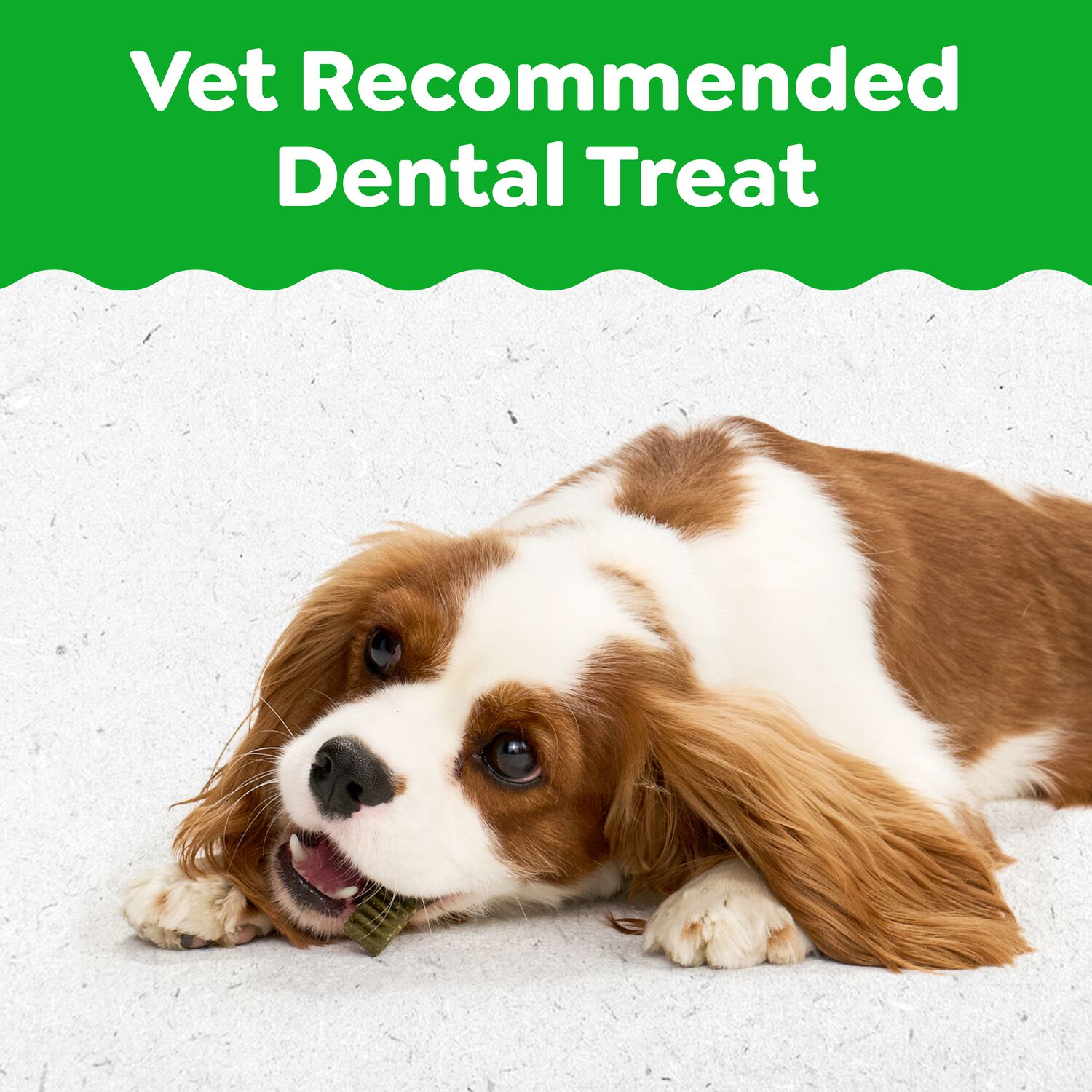 Greenies Puppy Petite Natural Original Flavor Dental Dog Treats, 10 Count