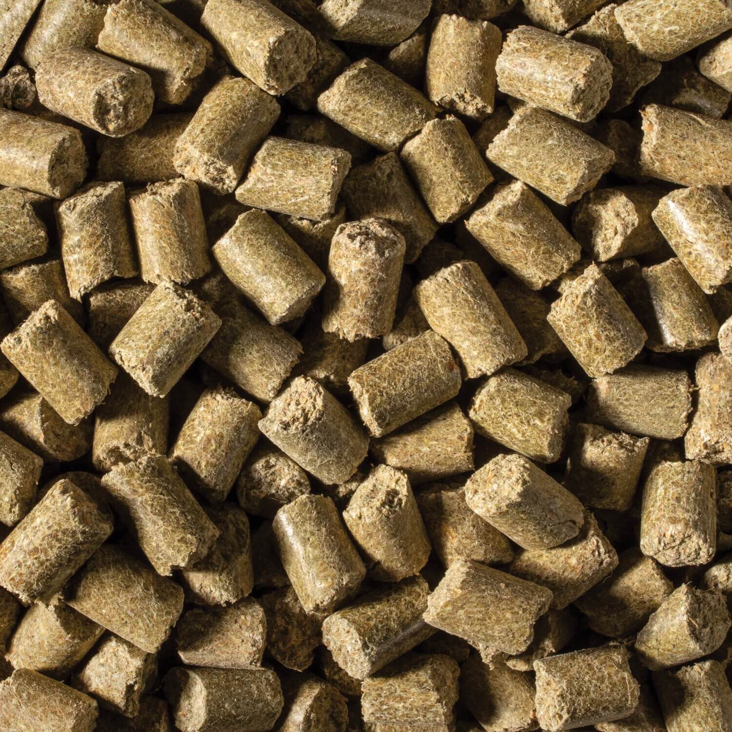 Field+Forest By Kaytee Hamster Or Gerbil Food 2lb Pet Supermarket