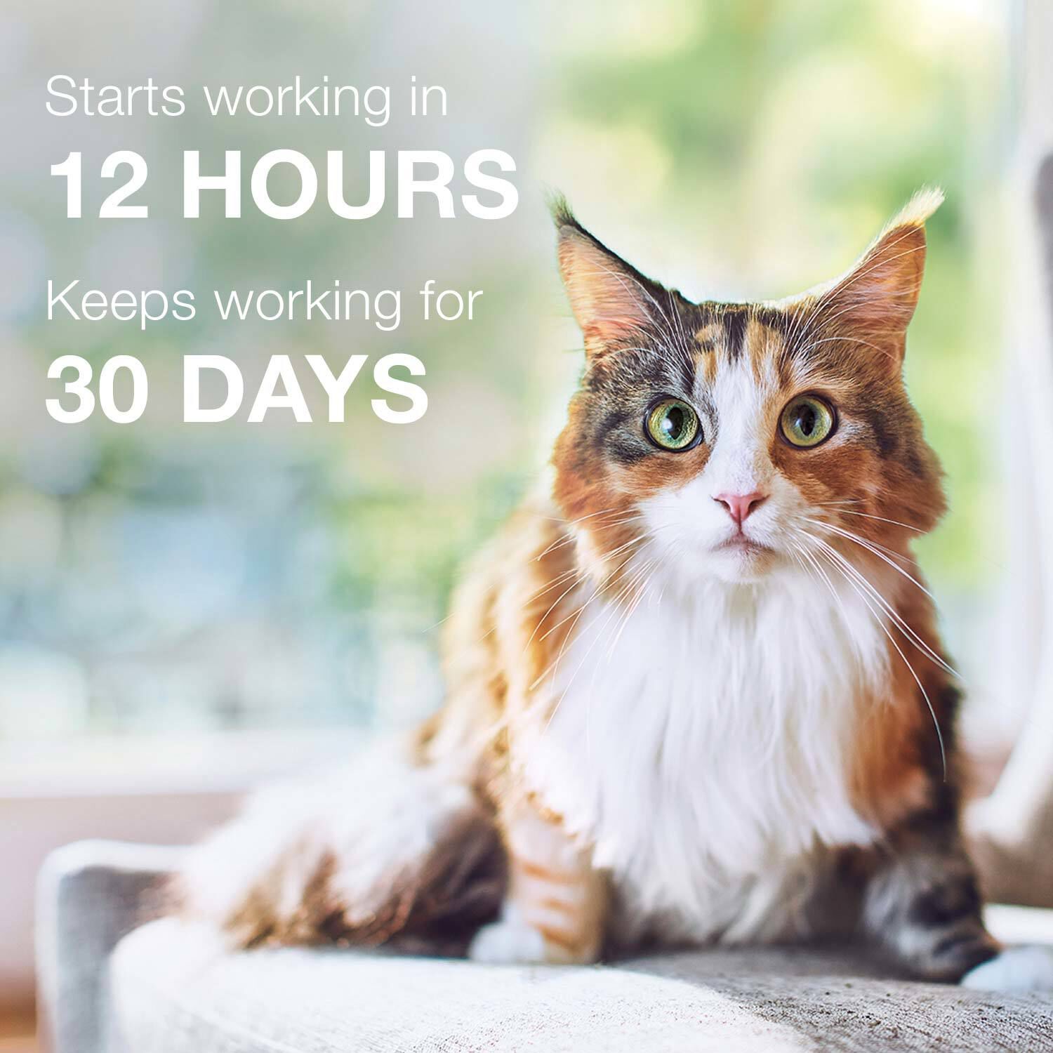 Advantage Ii Flea Treatment For Cats, Over 9 Lbs