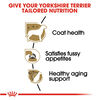 Yorkshire Terrier Adult Dog Food thumbnail number 3