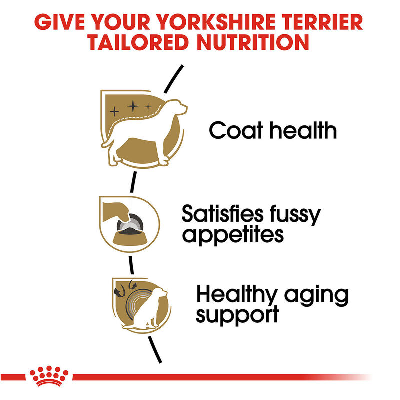 Yorkshire Terrier Adult Dog Food image number 3