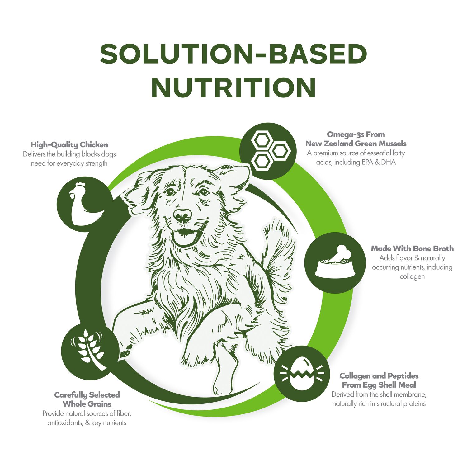 Fromm Nutritionals Mobility Chicken & Whole Oats Adult Dry Dog Food, 26-Lb Bag