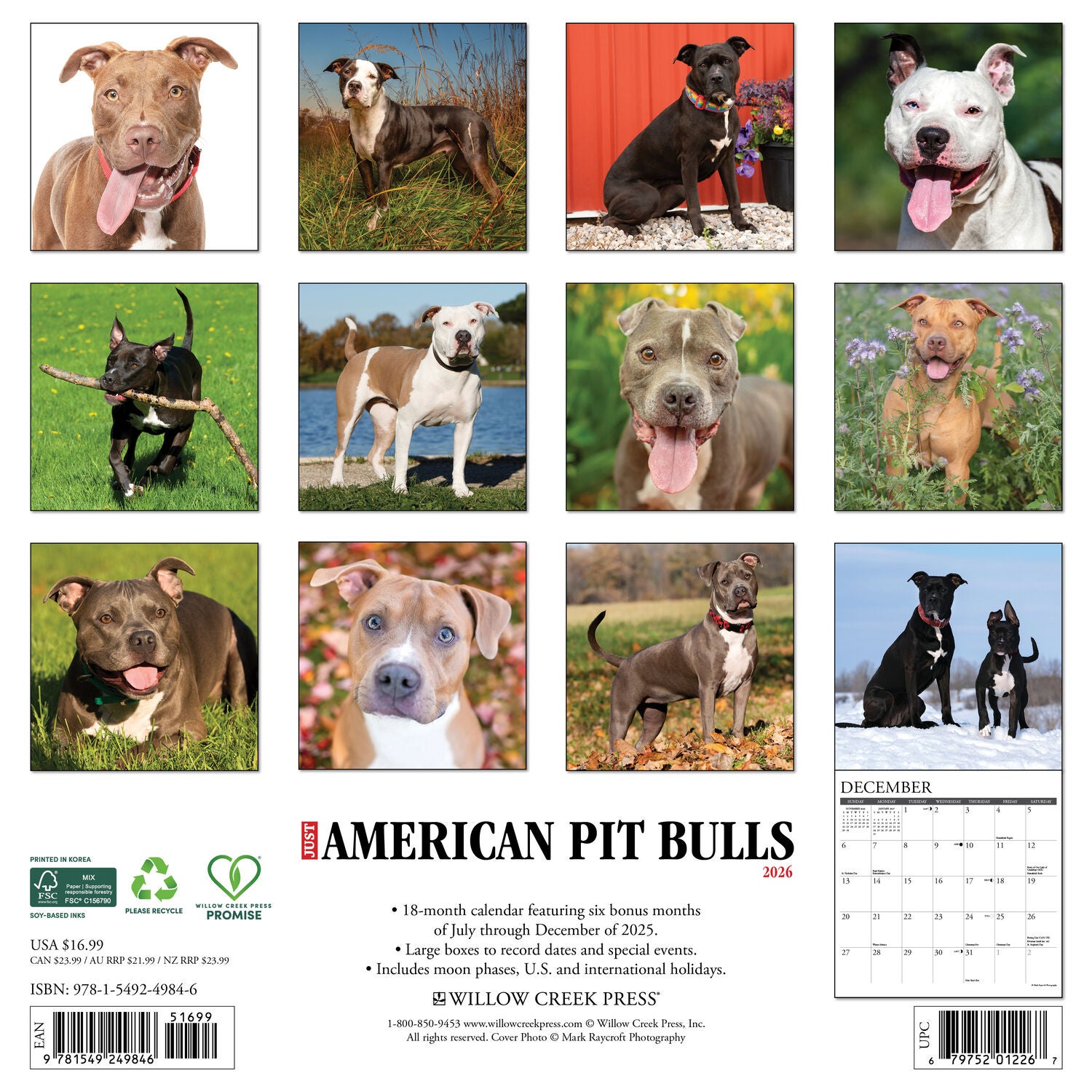 Willow Creek Press 2026 American Pit Bull Terriers Wall Calendar