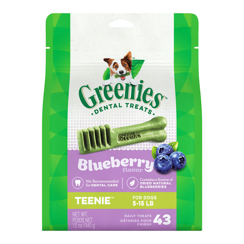 Blueberry Flavor Dental Treats Teenie image number 1