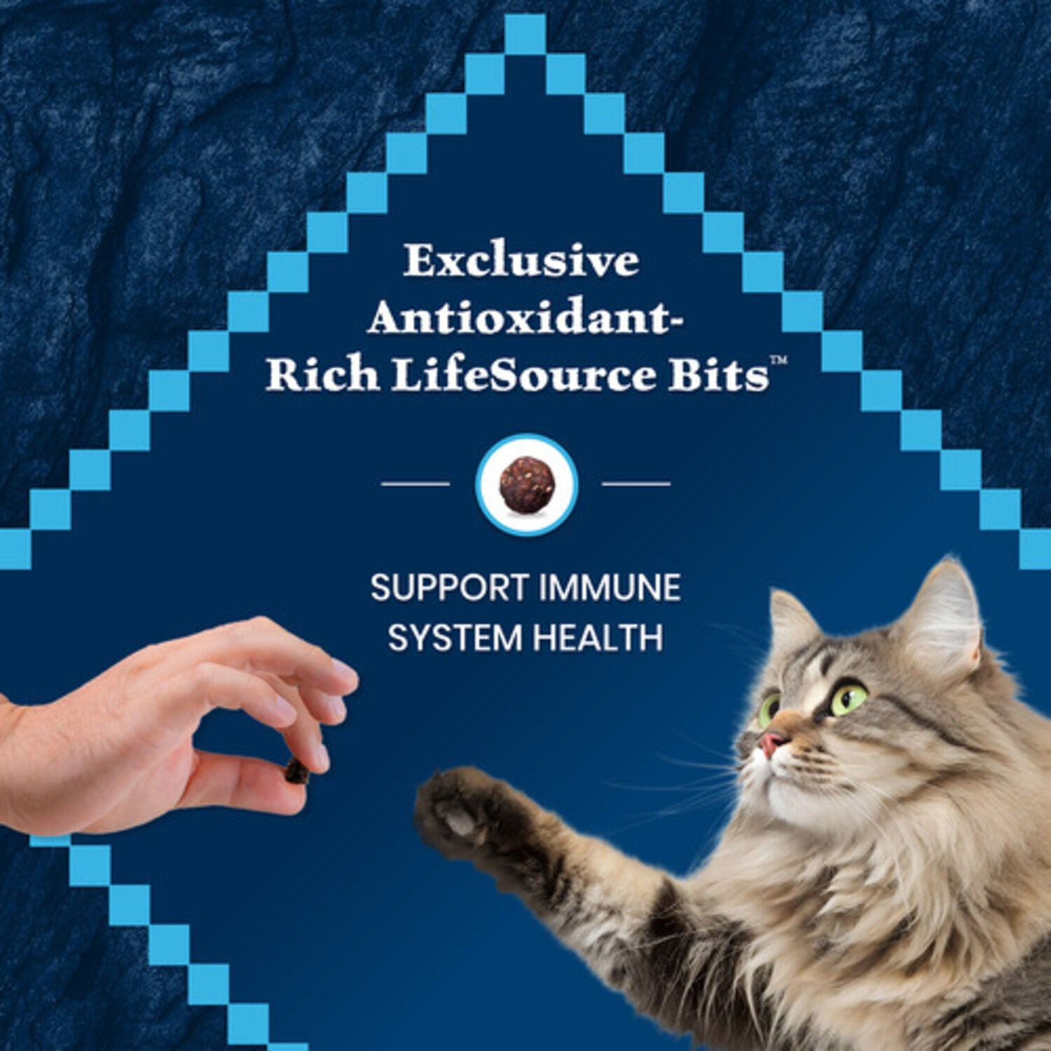 Blue Buffalo Wilderness Mature High-Protein & Grain-Free Salmon Recipe Dry Cat Food, 5-Lb Bag