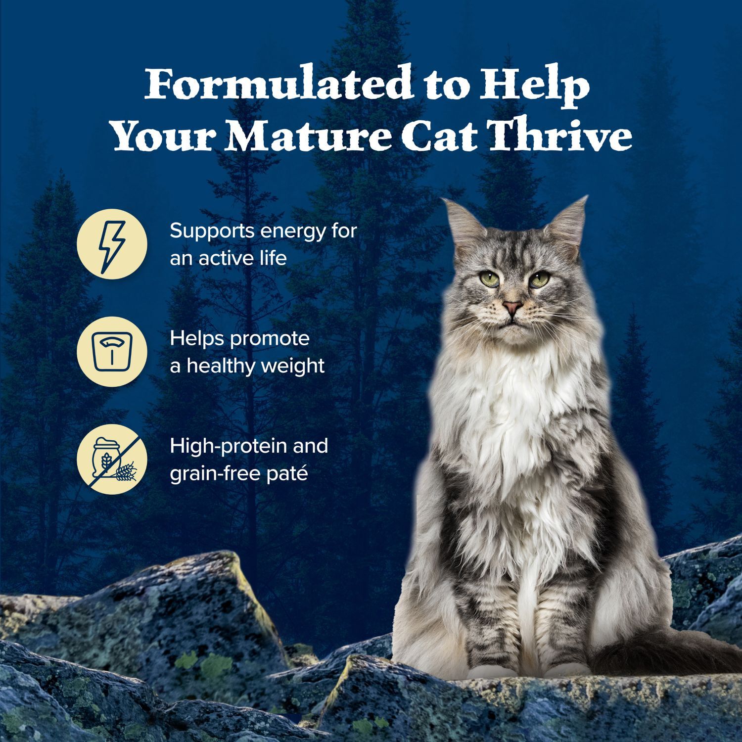 Blue Buffalo Wilderness Grain-Free Mature Senior Chicken Wet Cat Food, Chicken Recipe, 5.5-Oz Pack Of 24