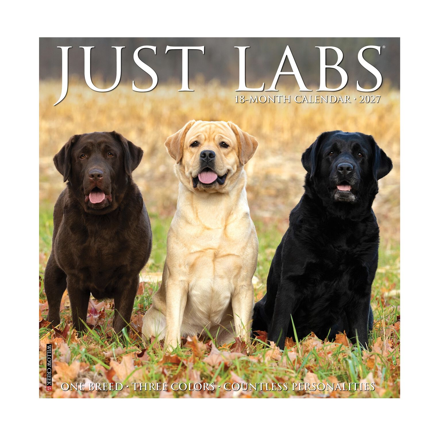 Willow Creek Press Just Labs 2027 Wall Calendar