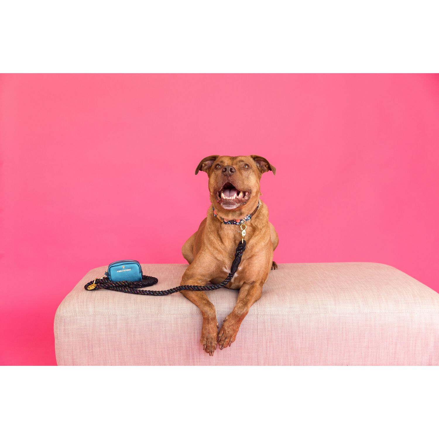 Pink Papyrus Hudson Dog Poop Bag Holder & Treat Pouch Leash Accessory, Blue
