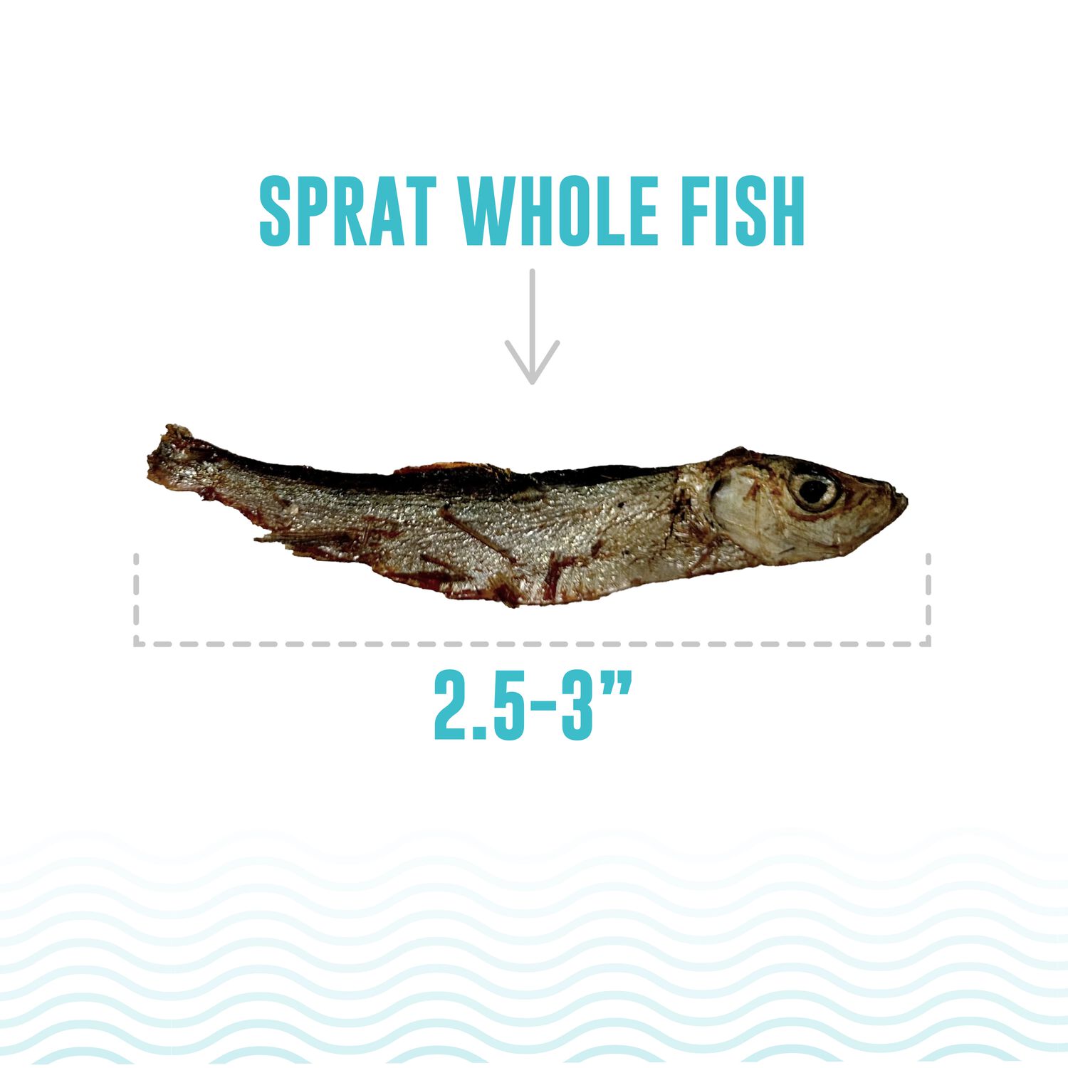 Icelandic+ Sprat Whole Fish Natural Cat Treats, 0.85-Oz
