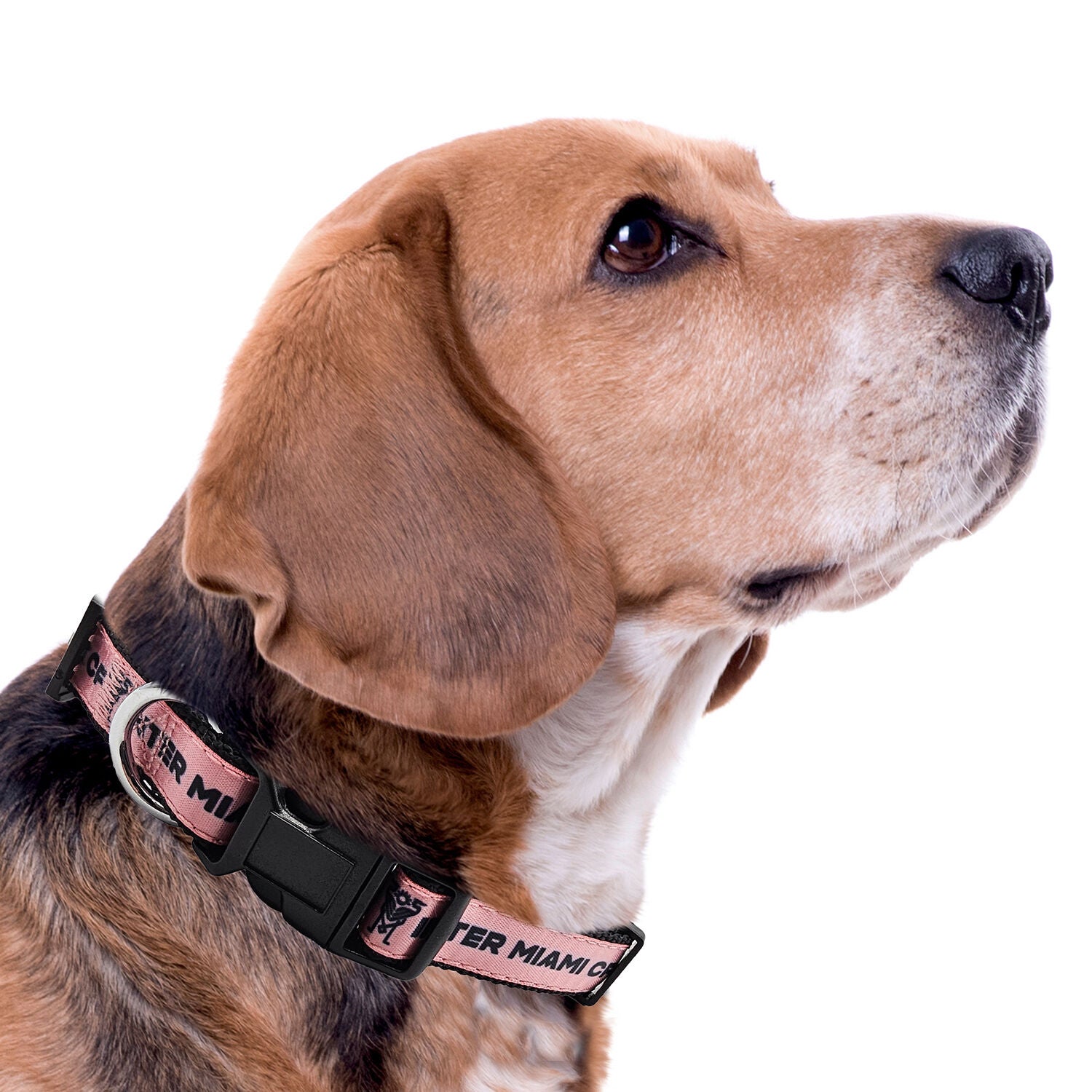Pets First Inter Miami Soccer Satin Dog Collar, Large