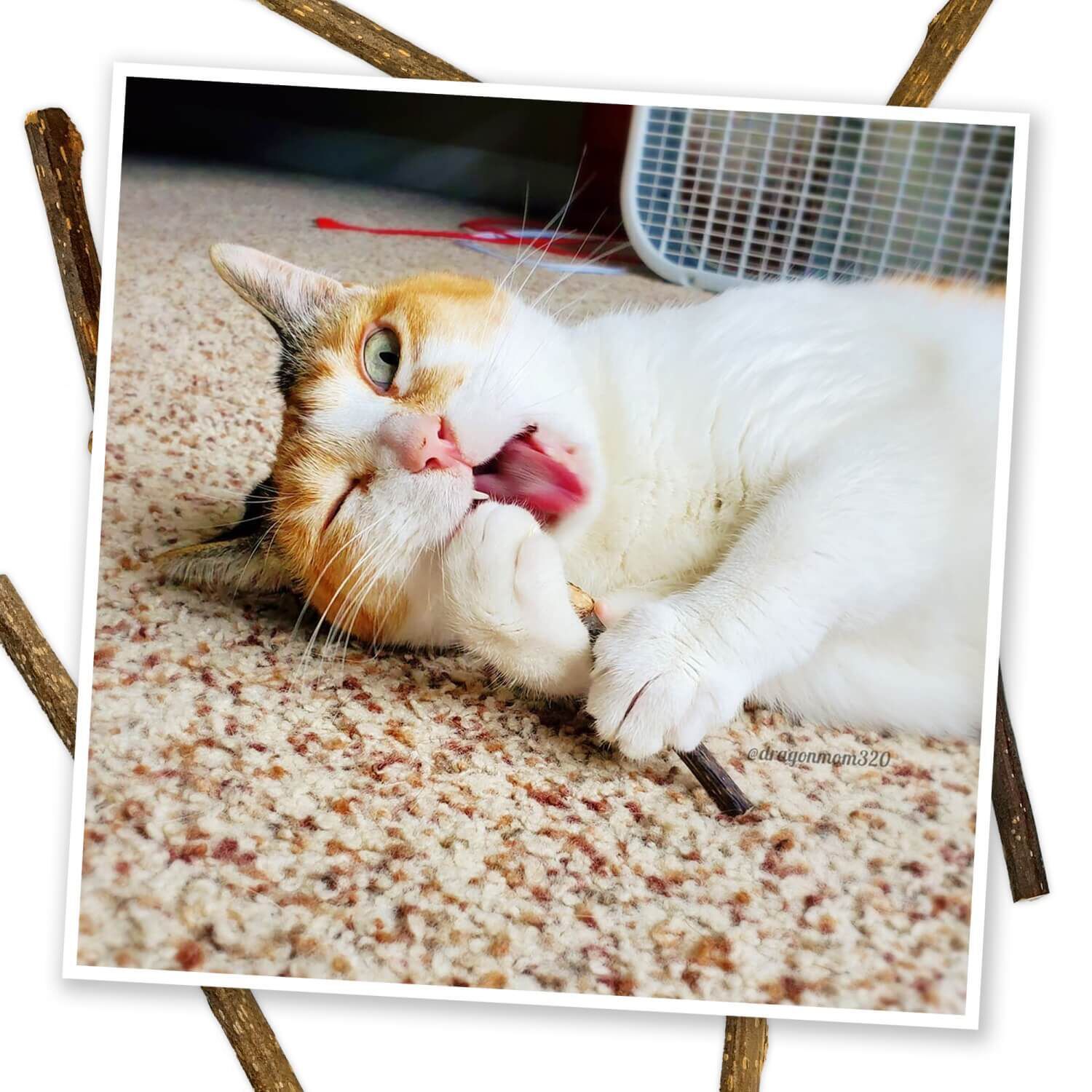 Meowijuana Silvervine Sticks For Cats