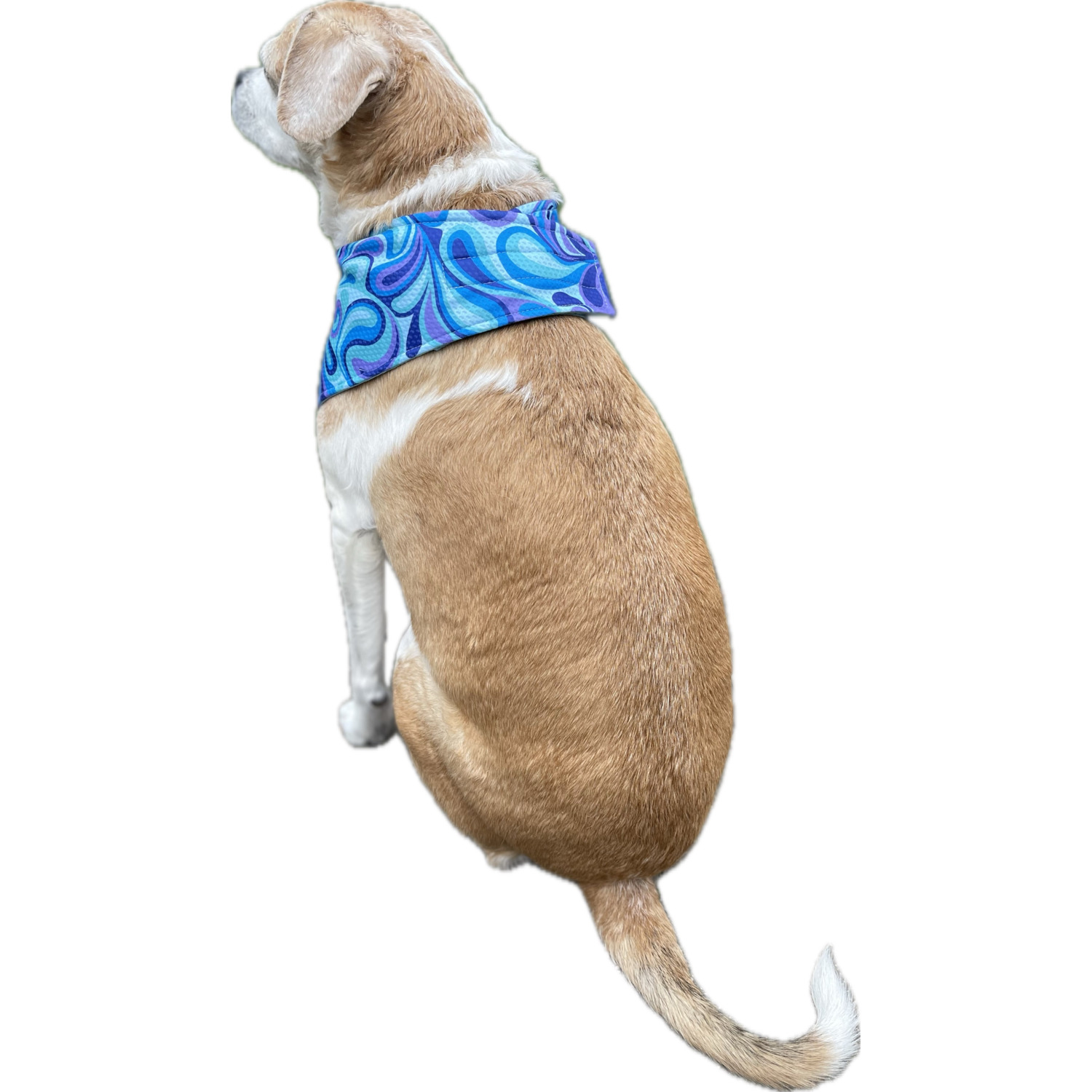 Unique Petz Cooling Dog Bandana - Paisley Print, Xs/Small