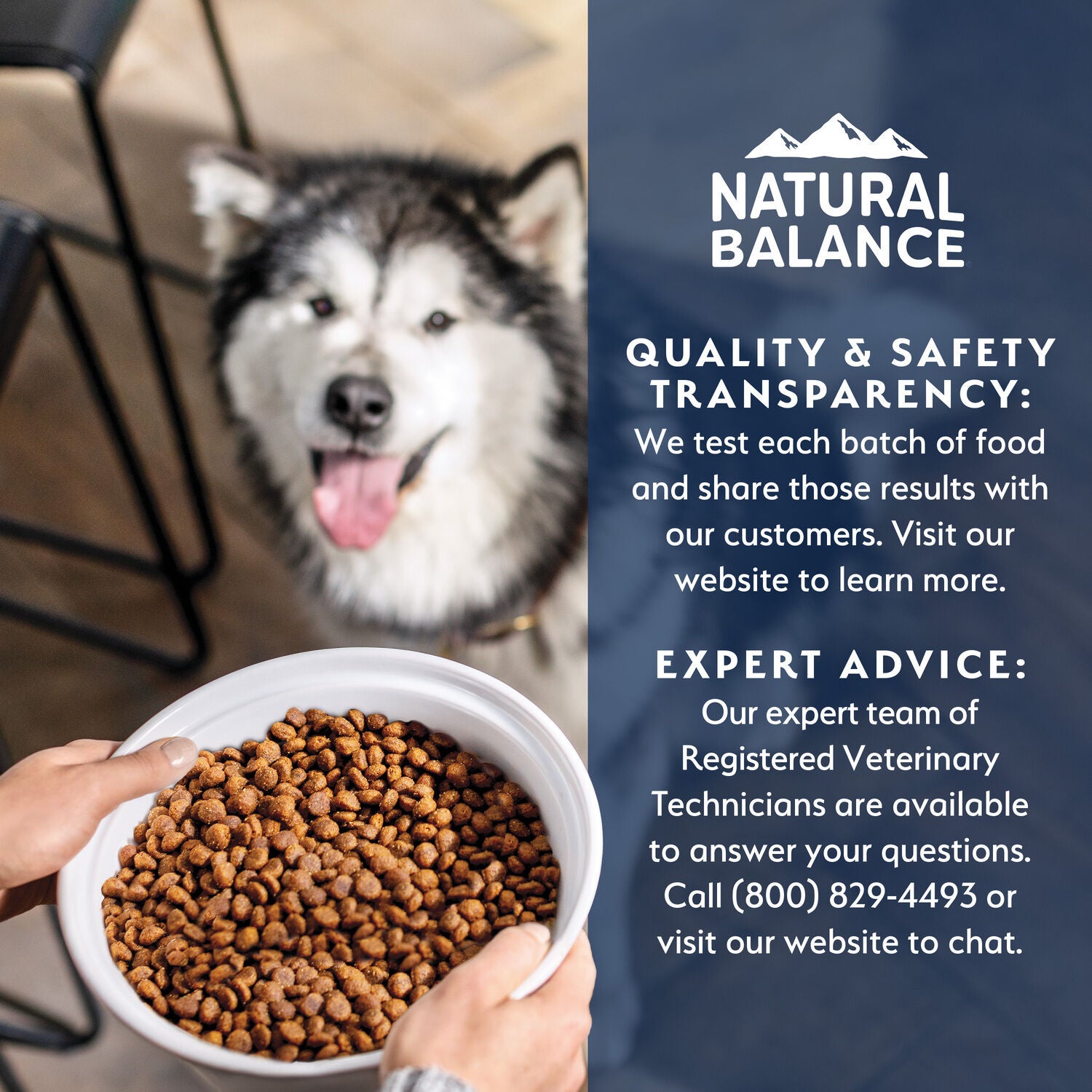 Natural Balance Health Protection Small Breed Dry Dog Food, Chicken, Brown Rice & Pumpkin Recipe, 4-Lbs.