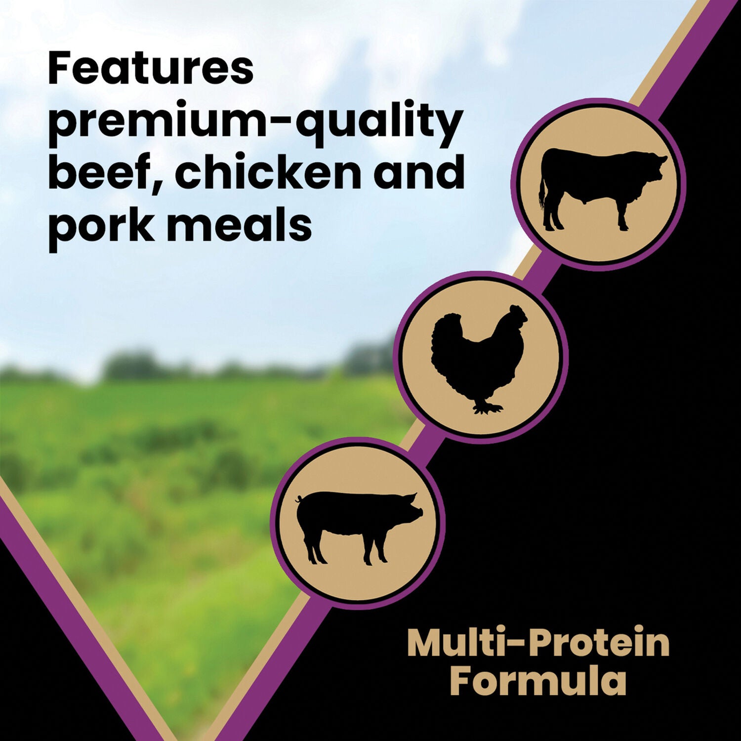 Victor Classic Professional Dry Dog Food