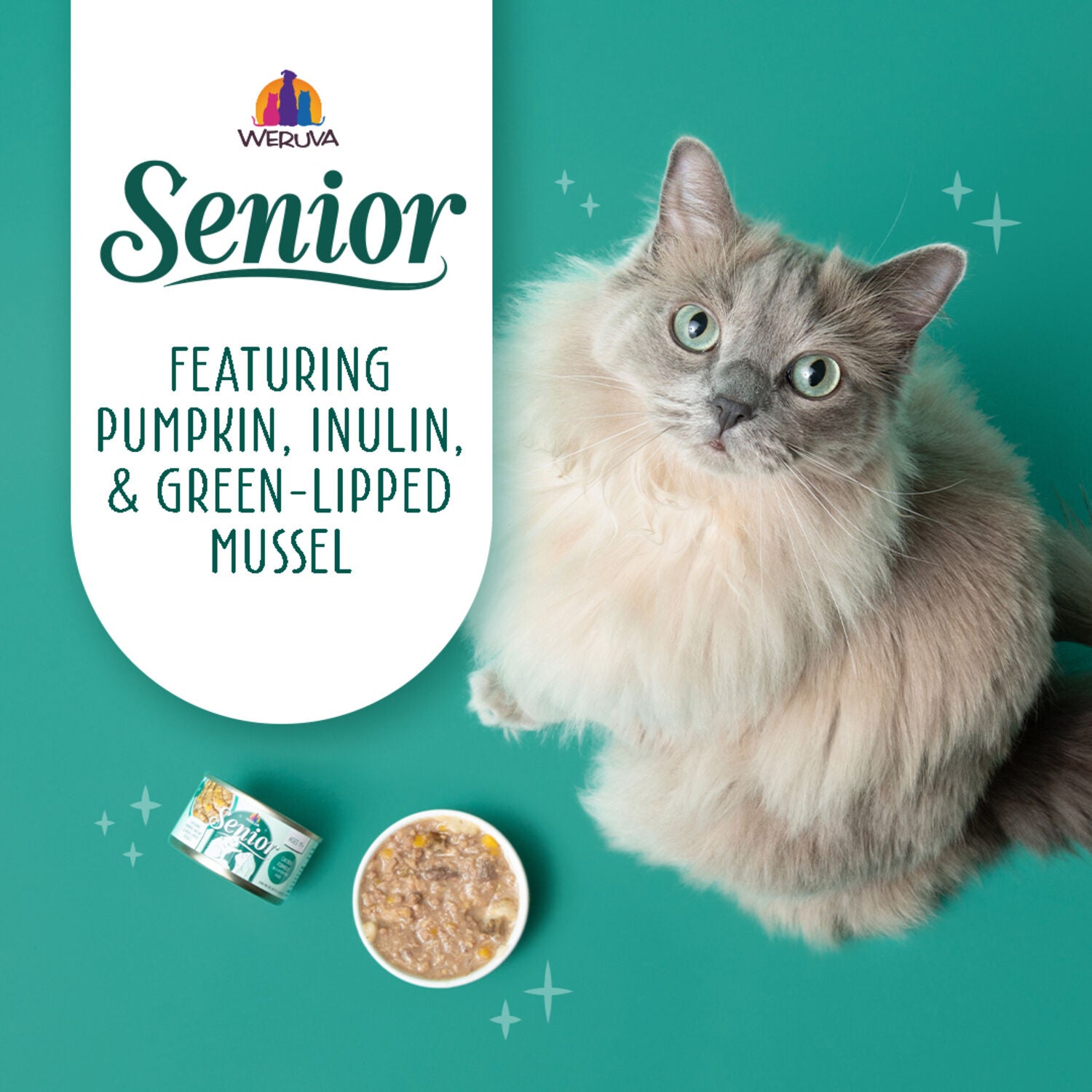 Weruva Cat Senior Chicken Formula In Gravy Wet Cat Food, 3-Oz Can