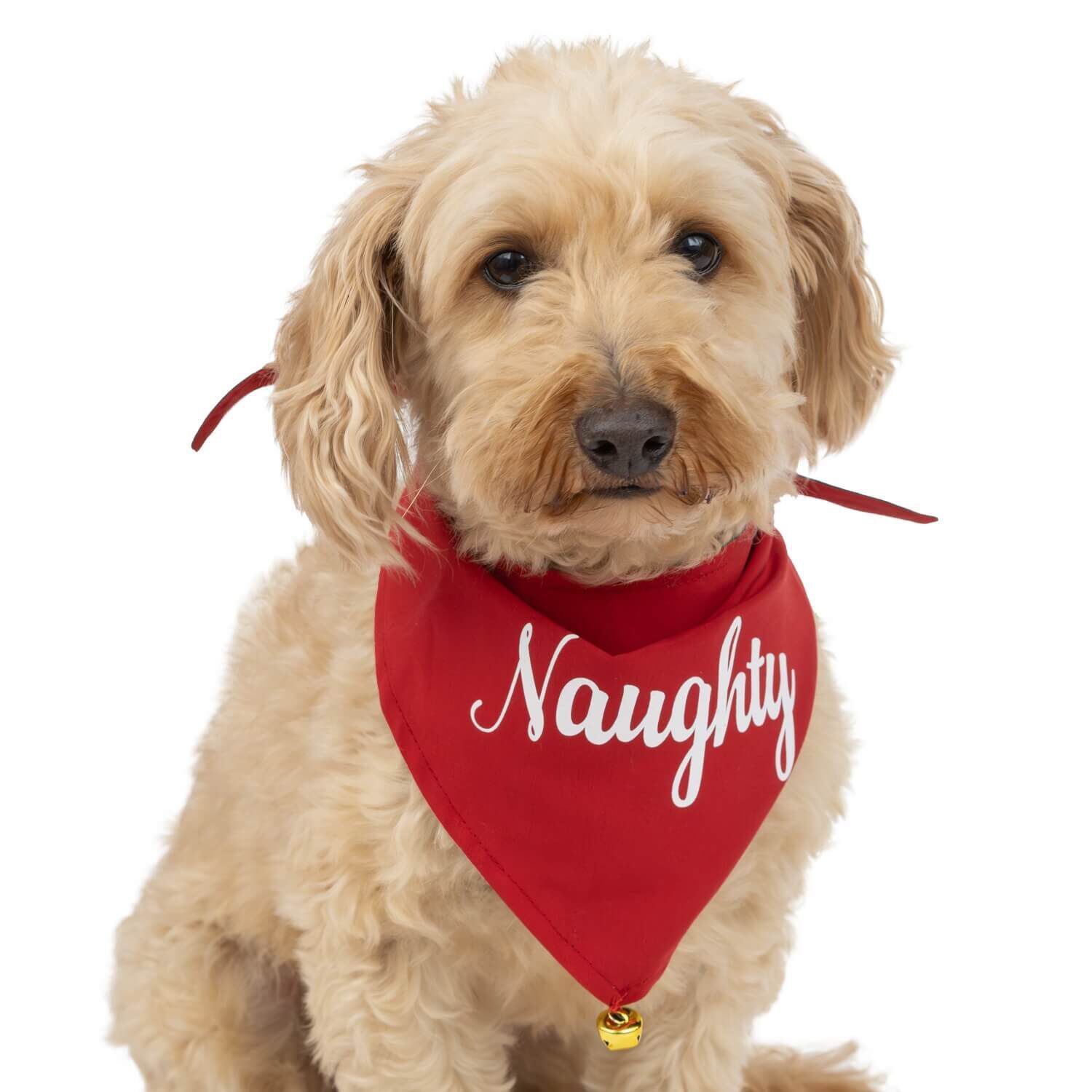 Pet supermarket dog clothes outlet