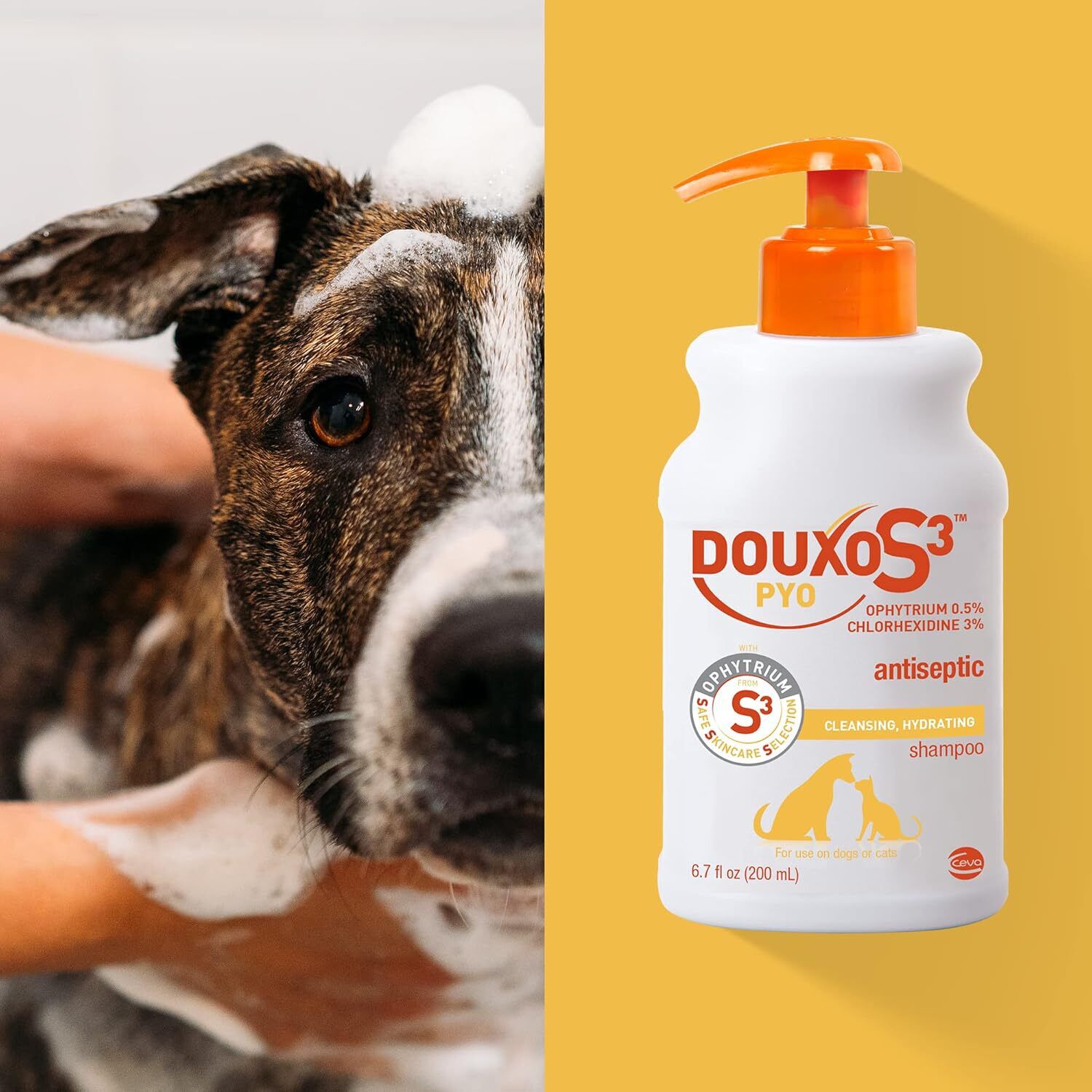 Douxo S3 Pyo Antiseptic Antifungal Chlorhexidine Dog & Cat Shampoo, 6.7-Oz Bottle