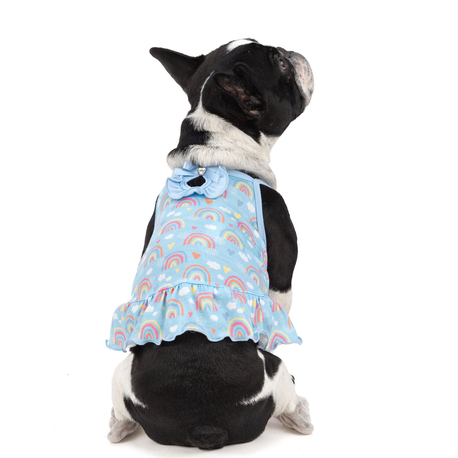 Simply Dog Blue Rainbow Ruffle Dog Dress
