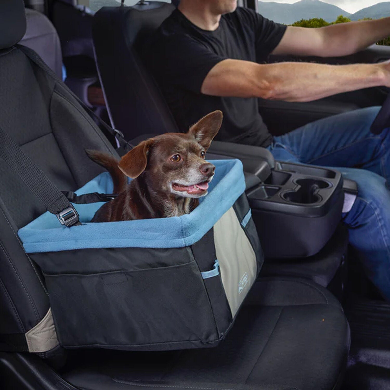 Kurgo Rover Dog Booster Seat