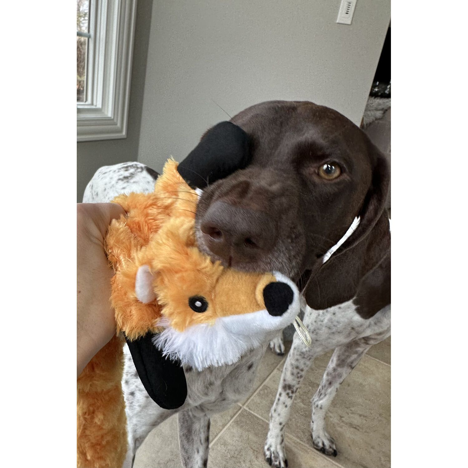 Tall Tails Stuffless Fox Squeaker Plush Dog Toy, 16"