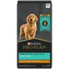 Focus Puppy Chicken & Rice Formula Dog Food thumbnail number 1