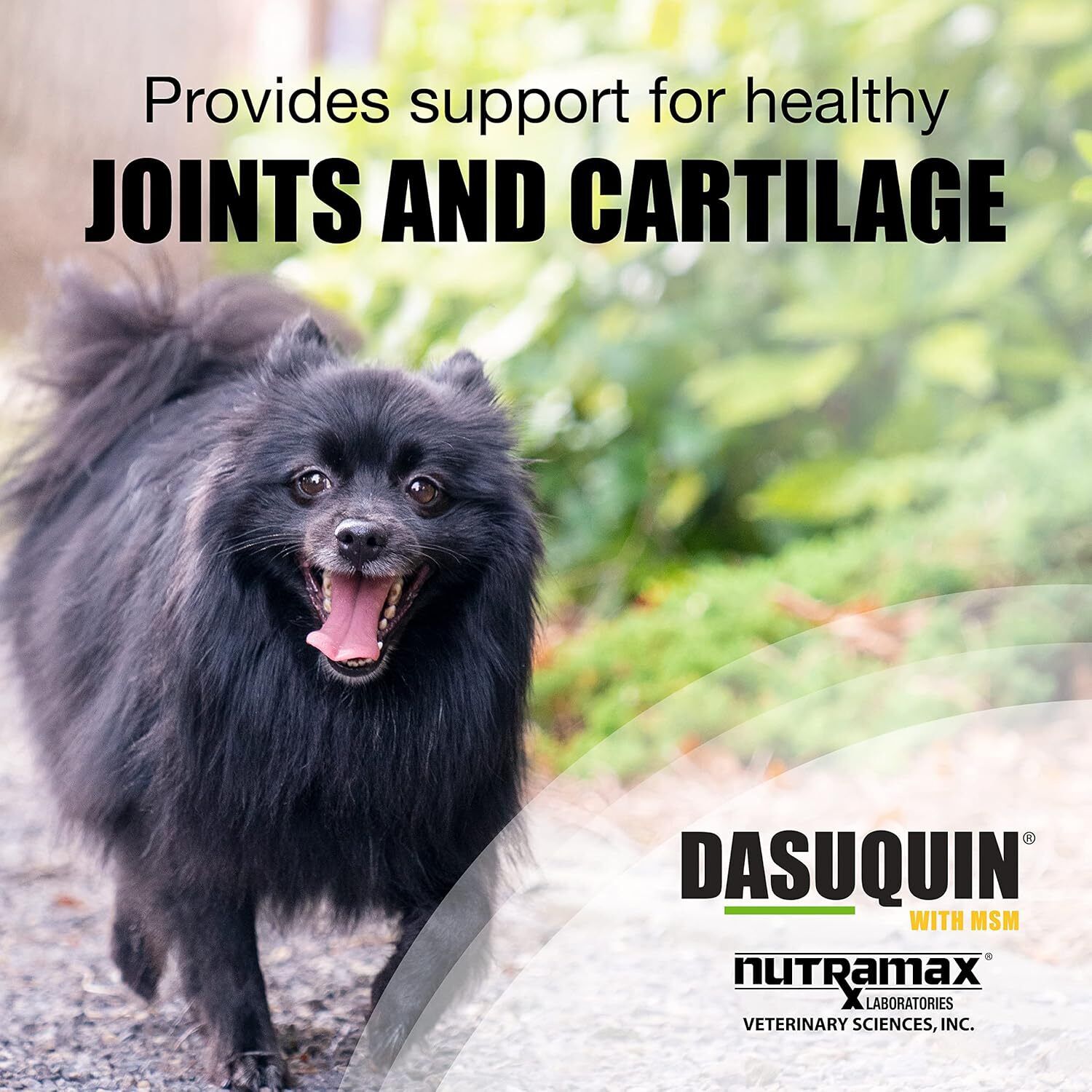 Nutramax Dasuquin For Large Dogs, Joint Health Supplement, Soft Chews, 84 Count