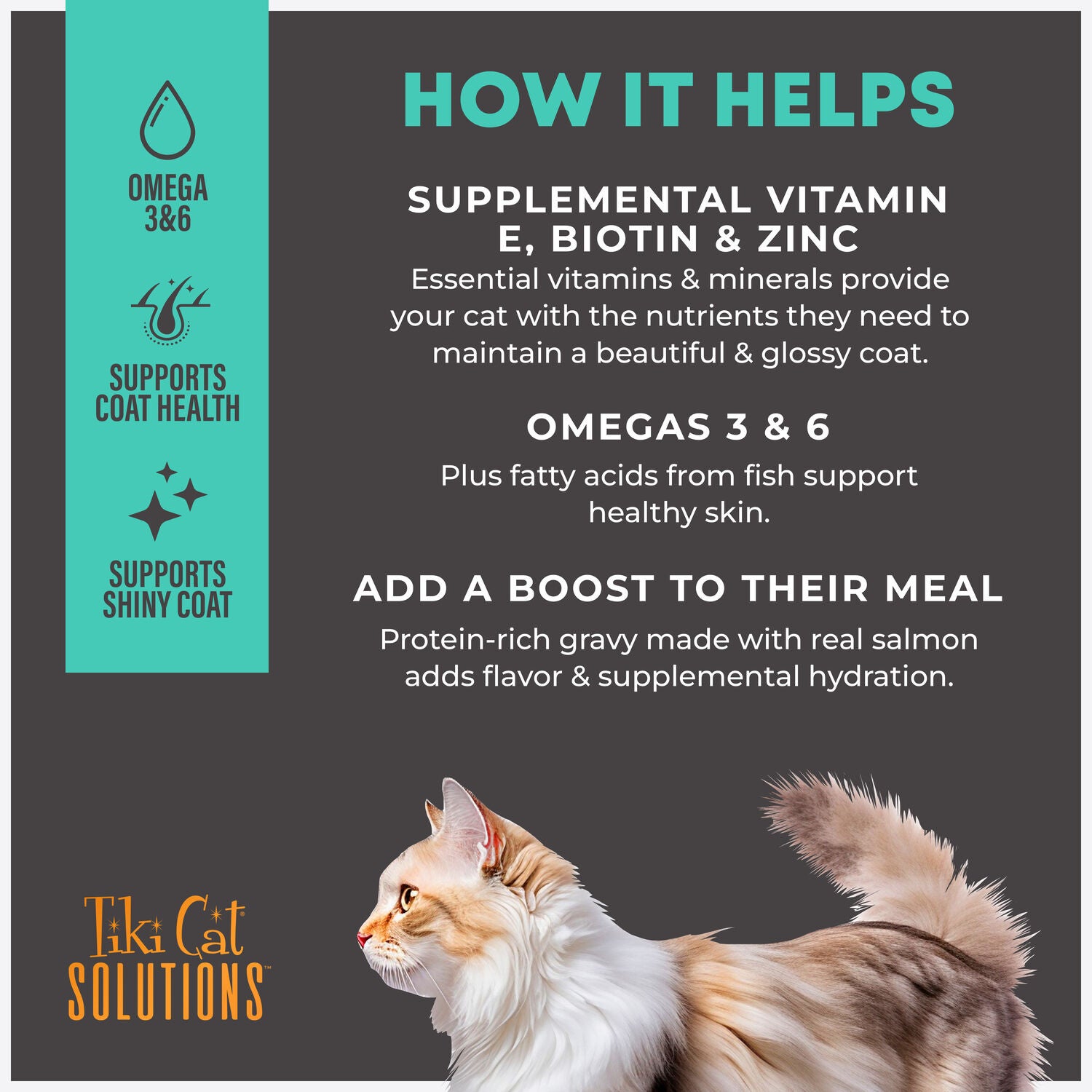 Tiki Cat Solutions Topper, Skin + Coat, Salmon Recipe In Broth, 1.5-Oz Pouch