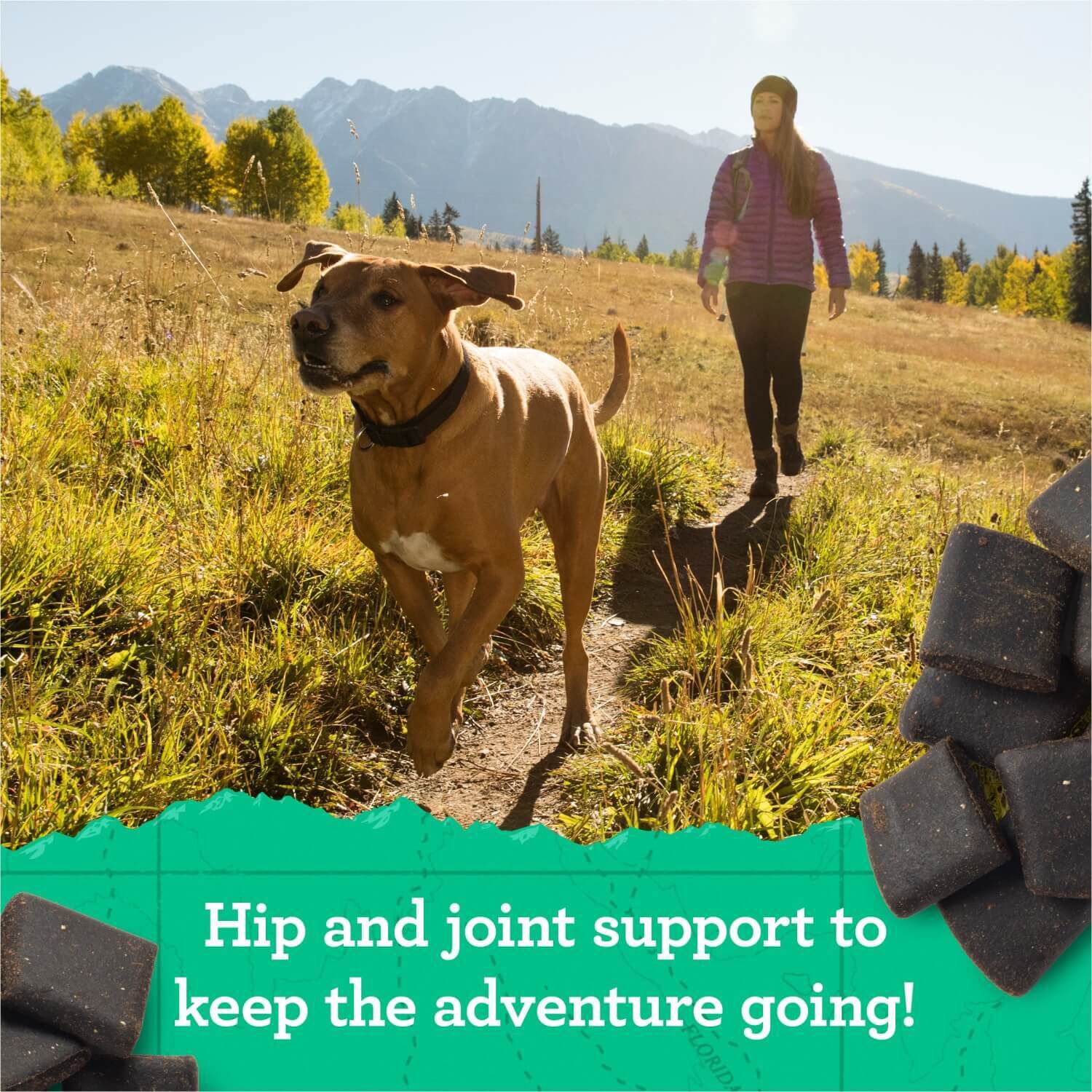 Zuke's Hip & Joint Soft & Chewy Dog Treats, Peanut Butter & Oats