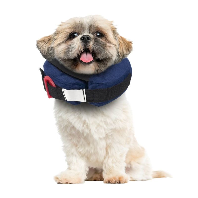 Protective Collar With Dog Calming Disc