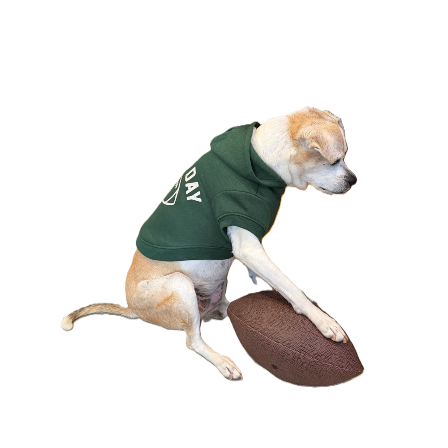 Aristopet Green Game Day Football Dog Hoodie, Extra Large
