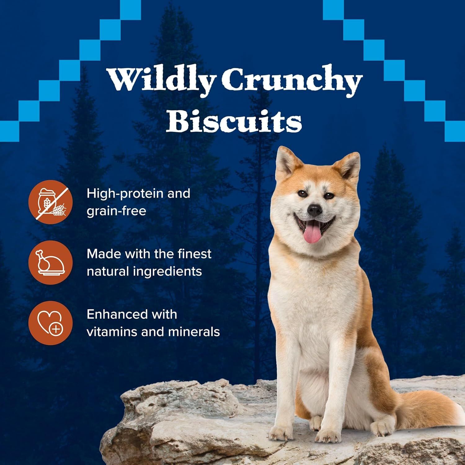 Blue Buffalo Wilderness Trail Treats Grain-Free Biscuit Dog Treats, Turkey Recipe, 10-Oz Bag