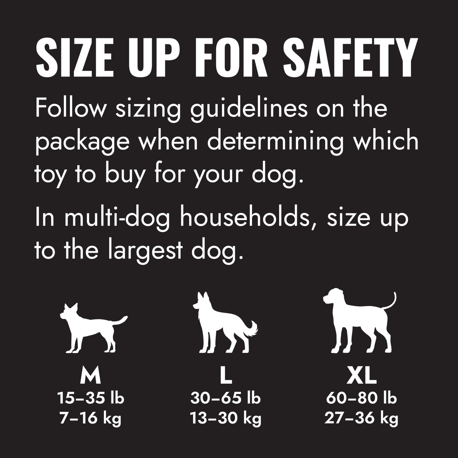 Kong Extreme Goodie Bone Durable Rubber Dog Toy, Large